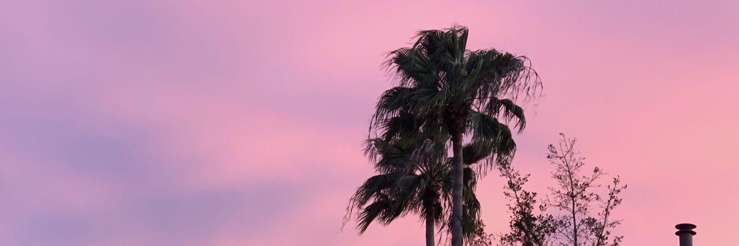 ShaniaSeabert1's profile banner image
