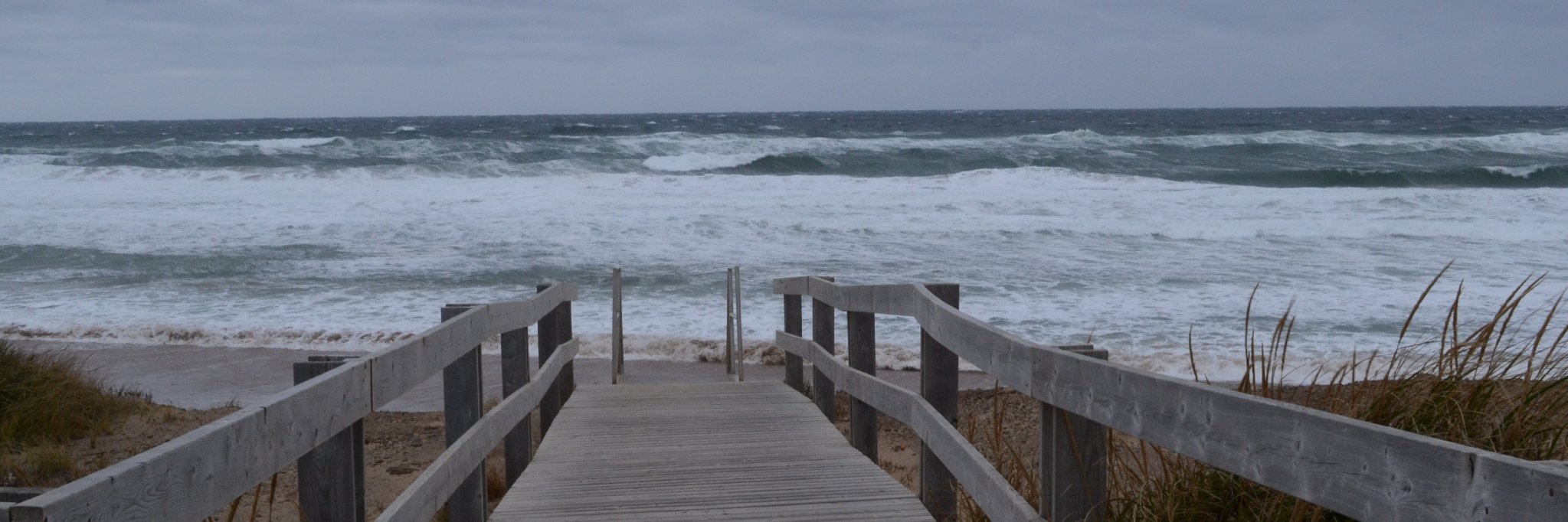 Nahila Bendali banner