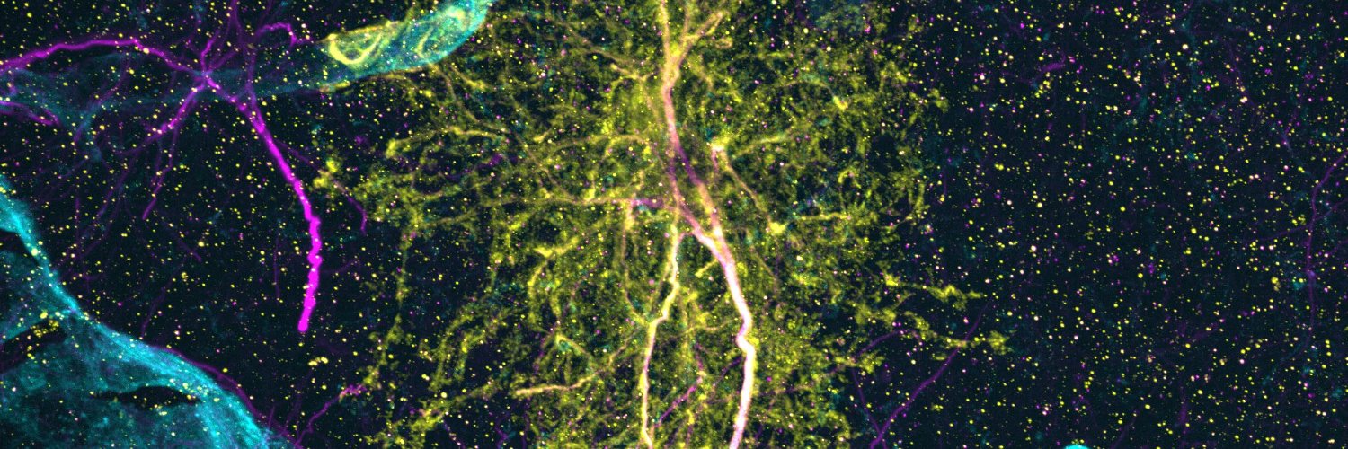 Margaret Schroeder banner