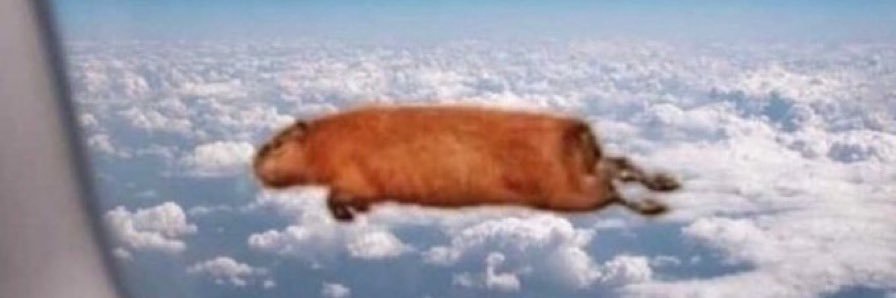 Capybaras's banner