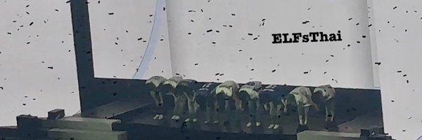 ELFsThai Profile Banner