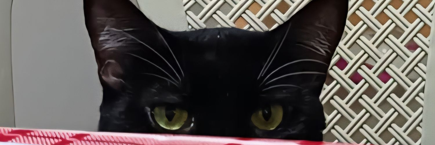 stillBryan01's profile banner image
