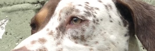 solgrivera's profile banner image
