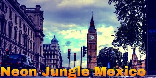 NeonJungleMex's profile banner image