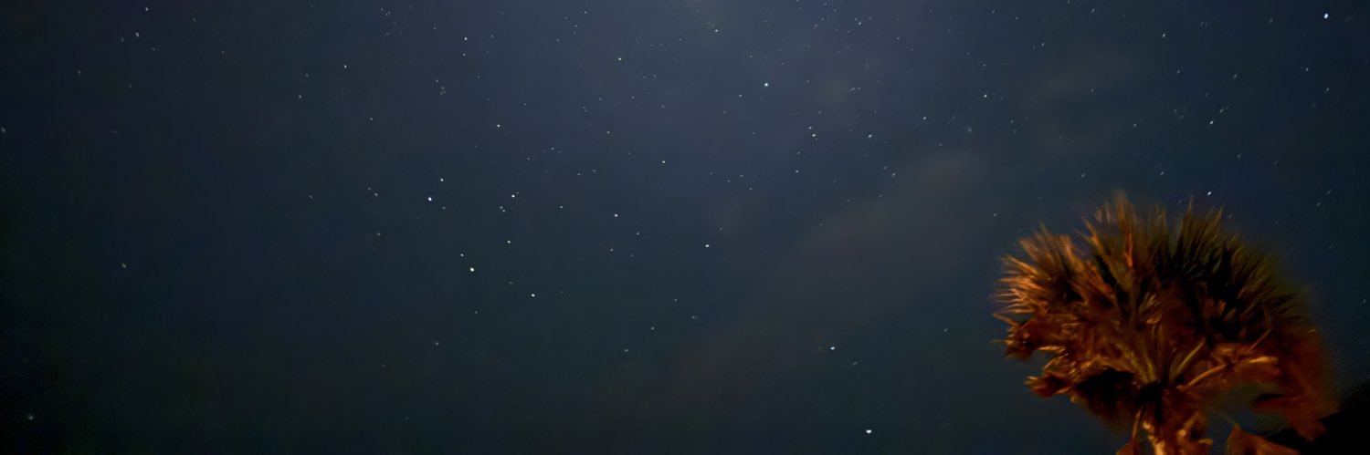 X Finds banner