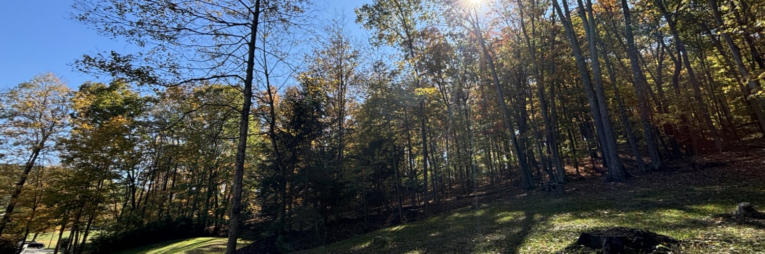 tim_morell's profile banner image