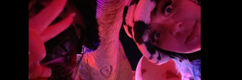lillyw0nka's profile banner image