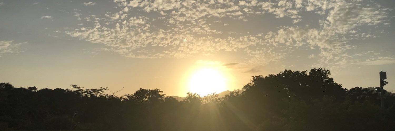 MaGabyPinto's profile banner image