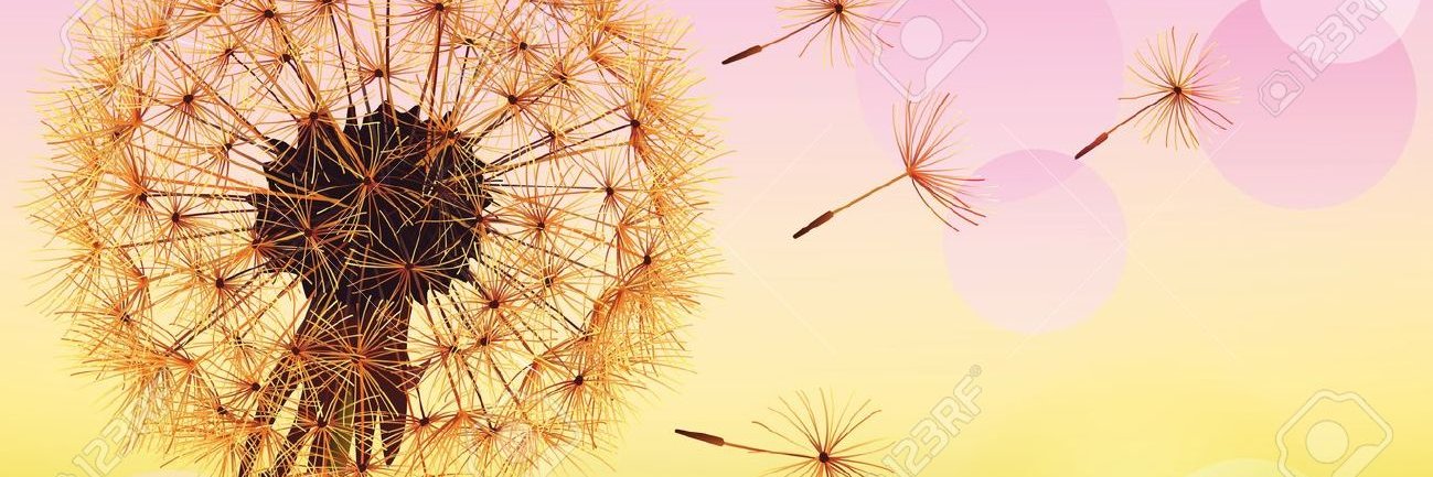 grisel_rec's profile banner image