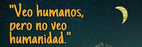 fernandaprojas's profile banner image