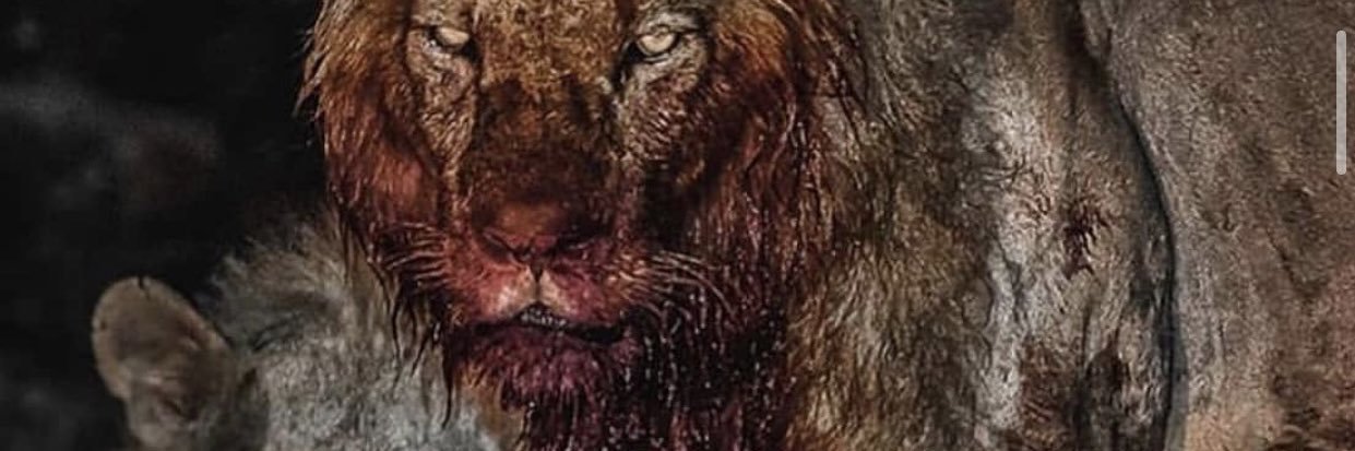 Joz100's profile banner image