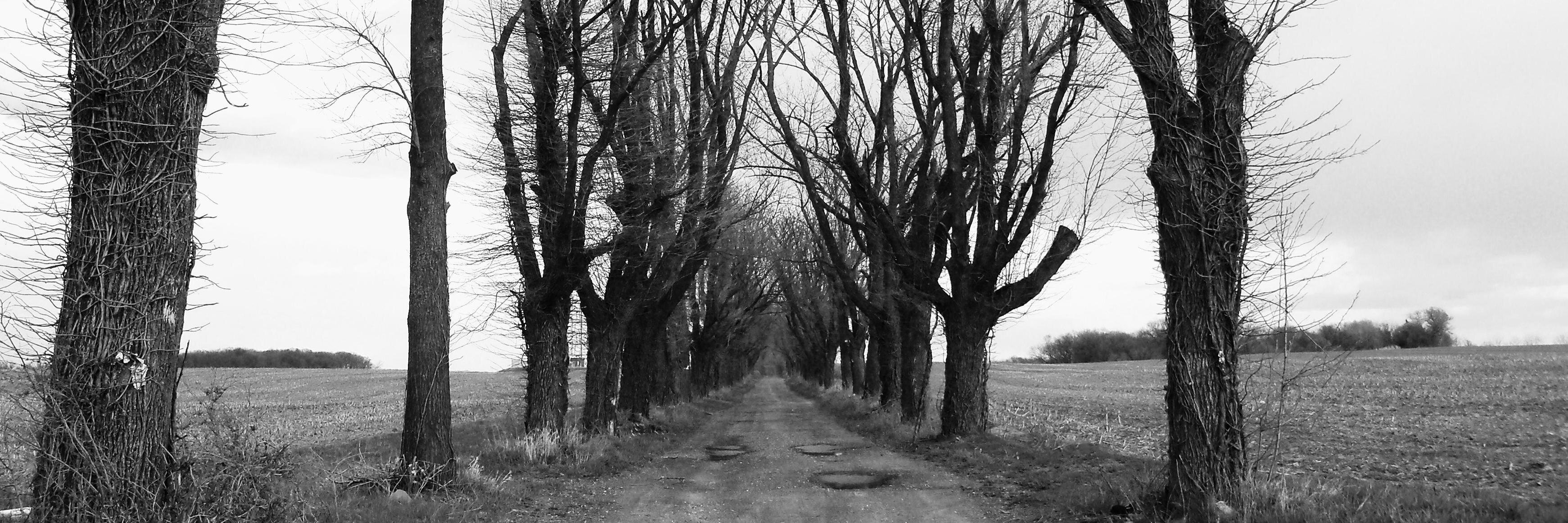 FavoriteSightsSounds banner