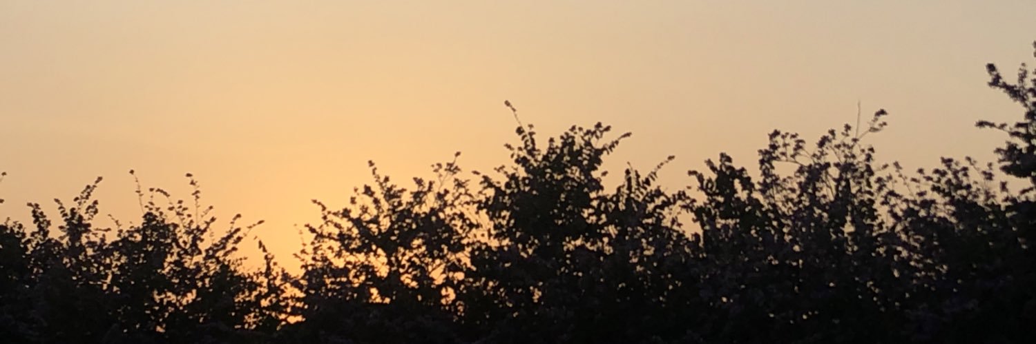 SametKrmz's profile banner image