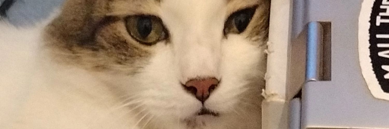 FernandoMAJ's profile banner image