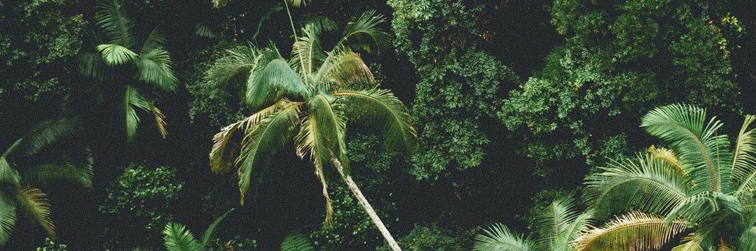 Kevin_sav's profile banner image