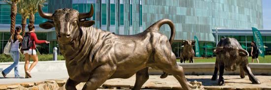 USF Bulls | BullsInsider.com's banner