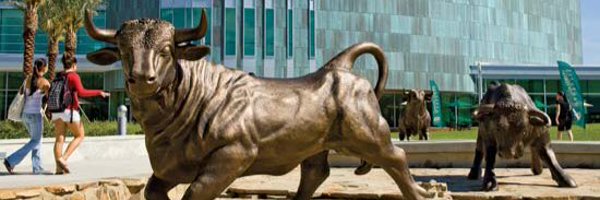 USFBulls_Rivals Profile Banner