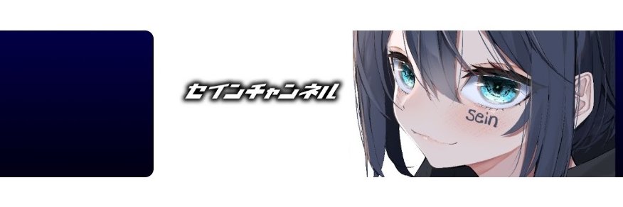 セインチャンネル / SeinChannel【SEINCH】 banner