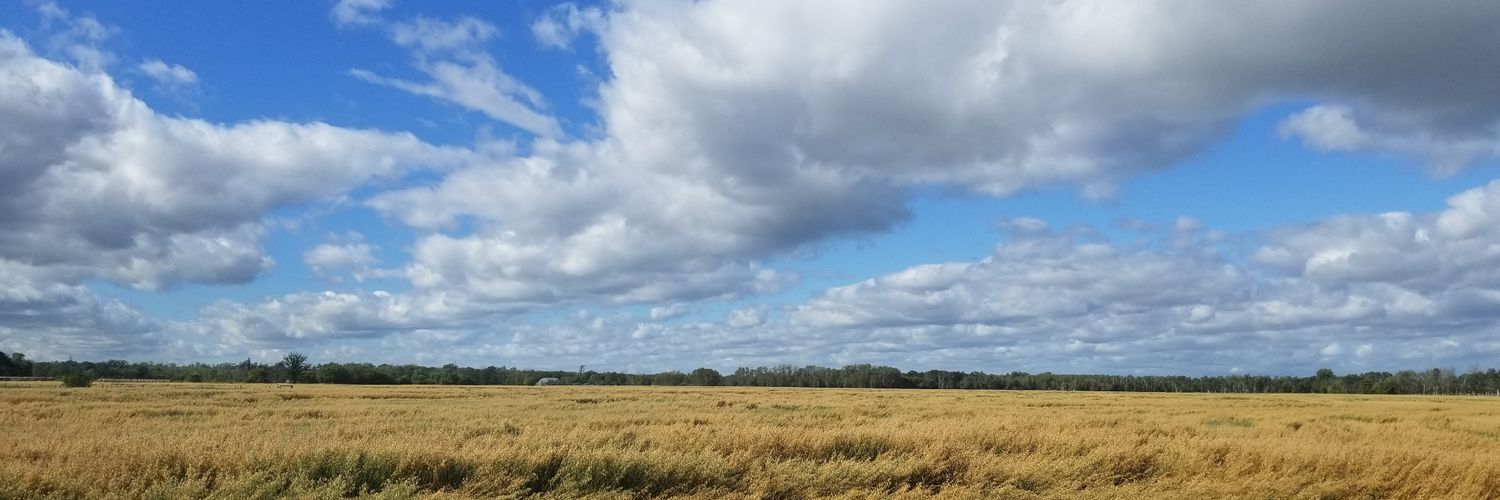 Adam Peleshaty 🇺🇦 banner