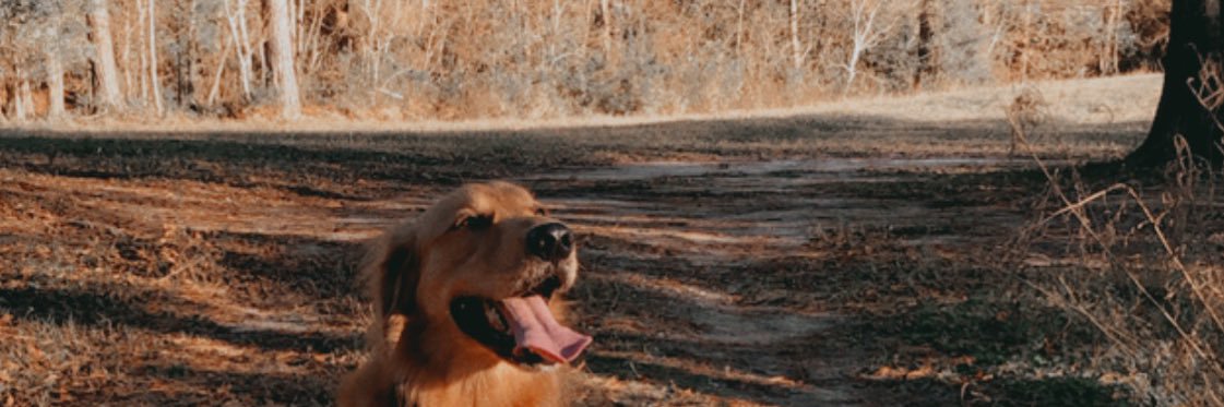 jamiemdyy's profile banner image