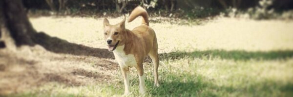 rbrookeb Profile Banner