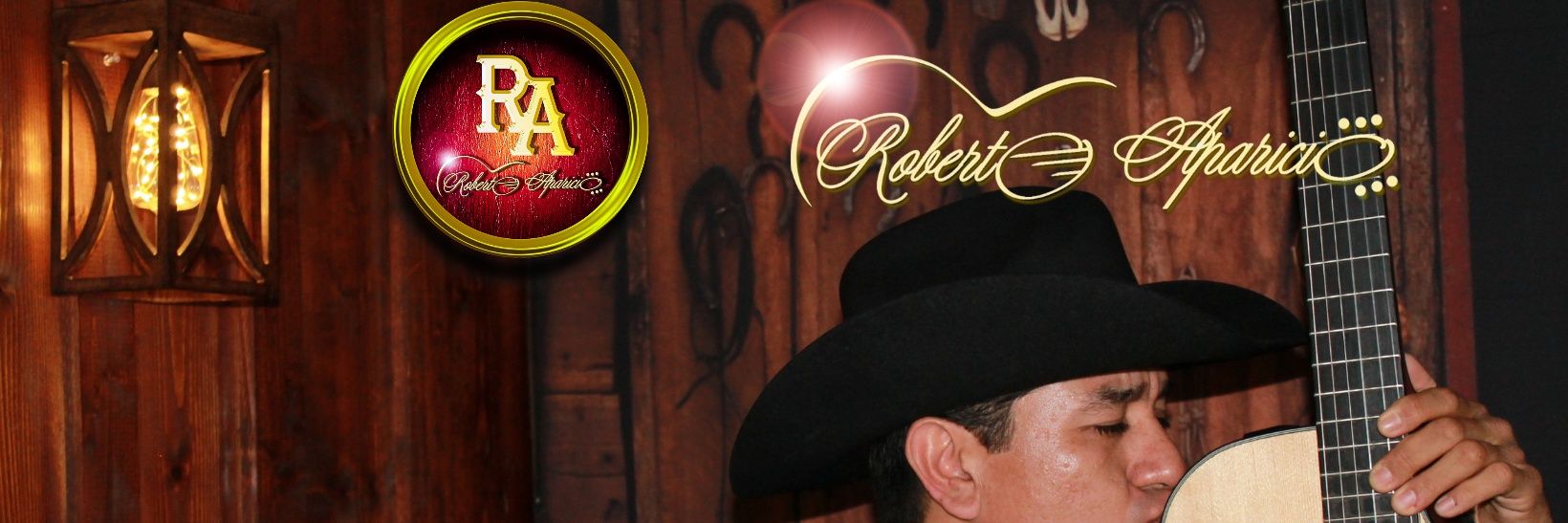 RobertoAparicio's profile banner image
