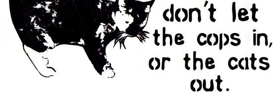 рептилия в шляпе 🦎 banner