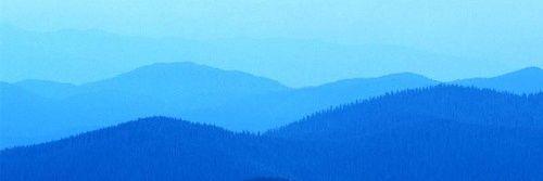 かわせみ banner