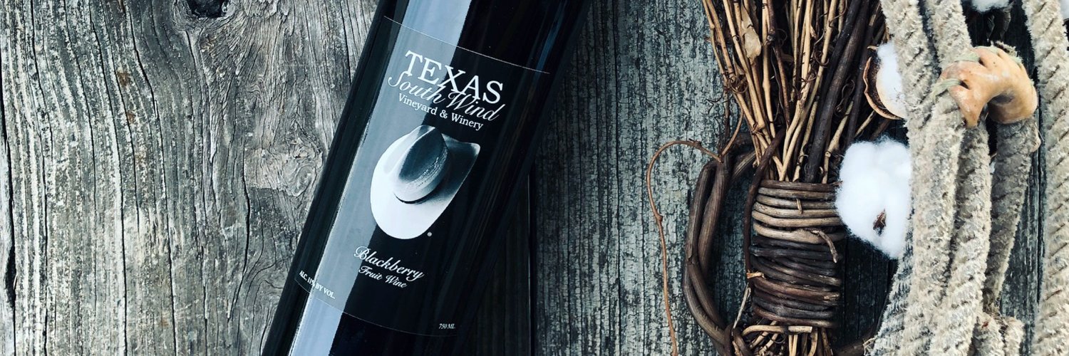 TexasSouthWind's profile banner image