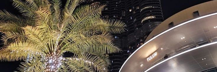 shaz🤍 banner