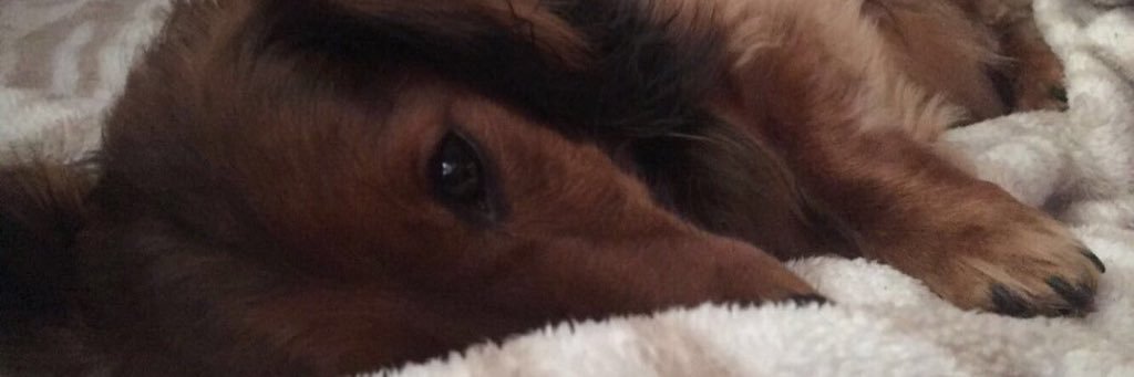 JusFor12's profile banner image