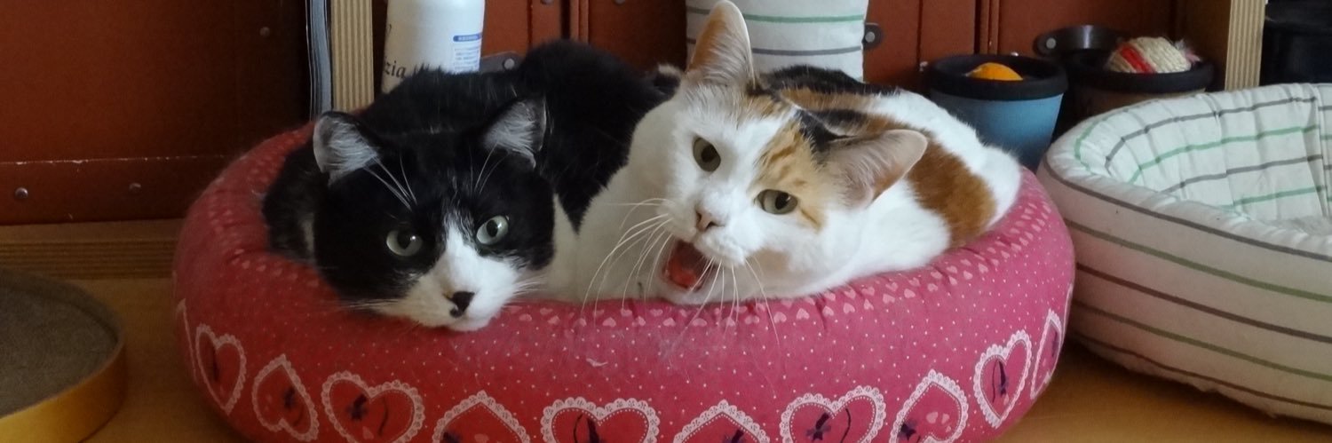 ゆずジャック banner