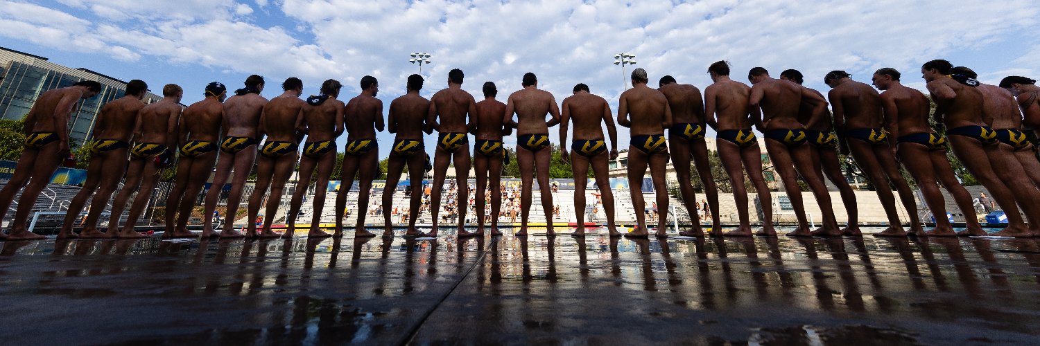 UC San Diego Men's Water Polo's banner