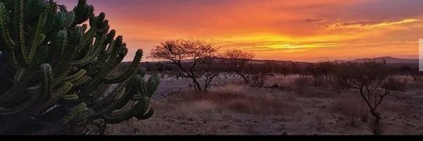 champ_monroy Profile Banner