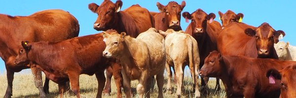 CadeTreacy Profile Banner