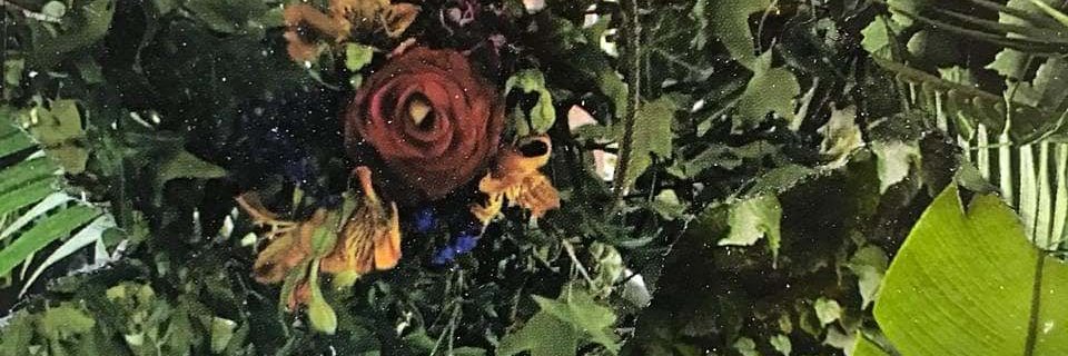 IFaigenbom's profile banner image