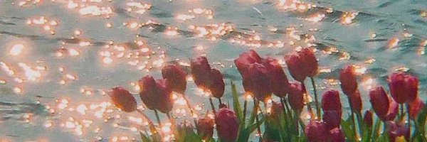 tinybabyfirst Profile Banner