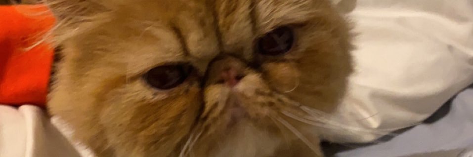 SVantlin_25's profile banner image