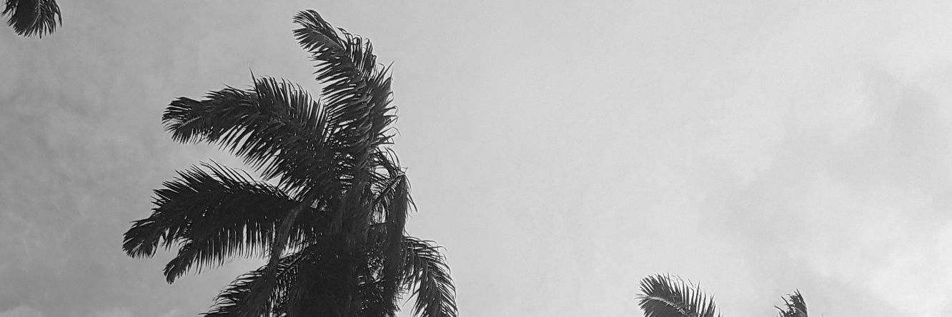 TipoRojas's profile banner image