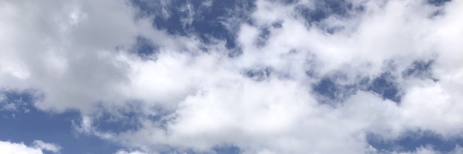 fanniivf's profile banner image