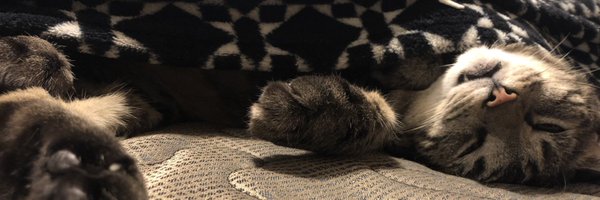 wmwassmann Profile Banner