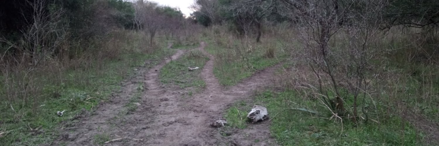 Avardent 🇦🇷 banner