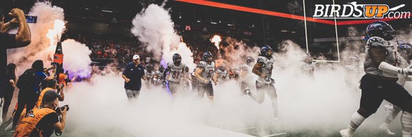 BirdsUp.com Profile Banner