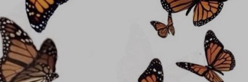 anjeeess's profile banner image
