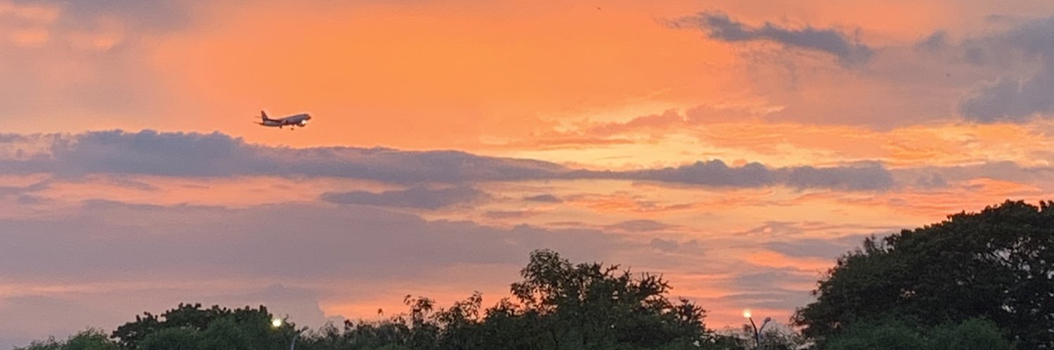 adiellejml's profile banner image