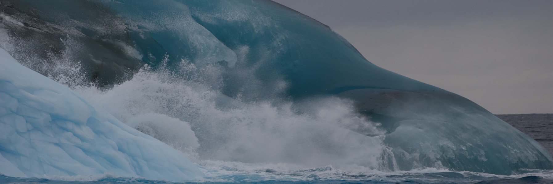 dnmsea's profile banner image
