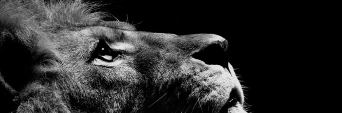 EstenSten's profile banner image