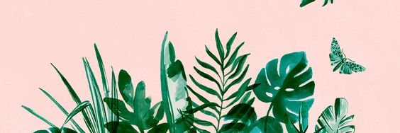 ajrrn_'s profile banner image