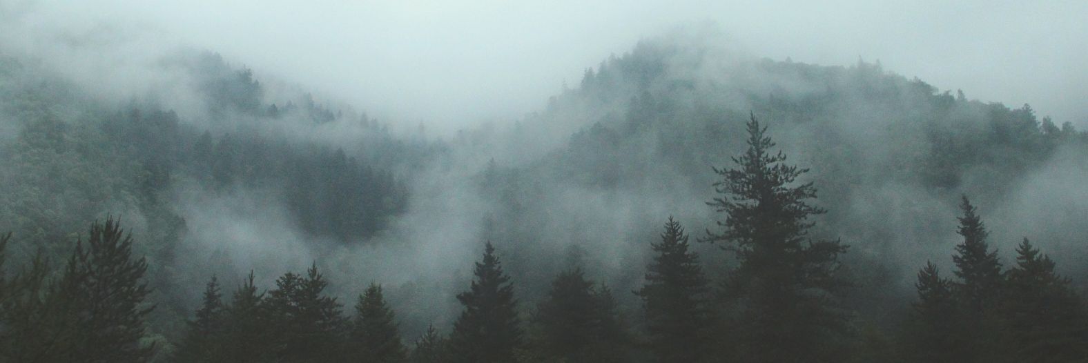 bridgetmcgahen's profile banner image