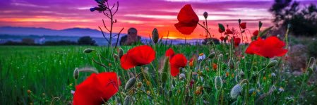 _tereangel's profile banner image